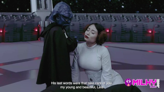 Leia parody smut