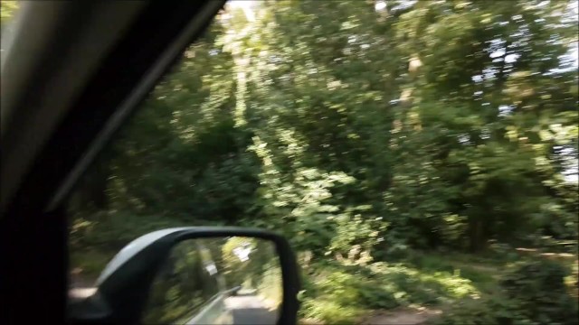 alphaninja7 swallow film