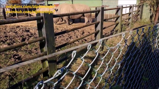 alphaninja7 milf film