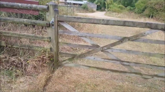 alphaninja7 public sex