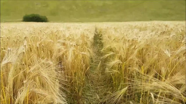 alphaninja7 public sex