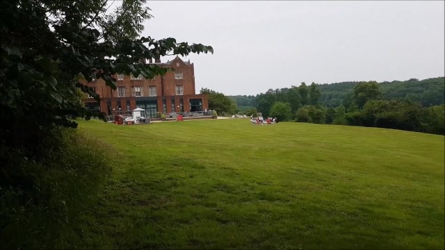 alphaninja7 pov blowjob scene