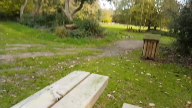 alphaninja7 risky blowjob bang