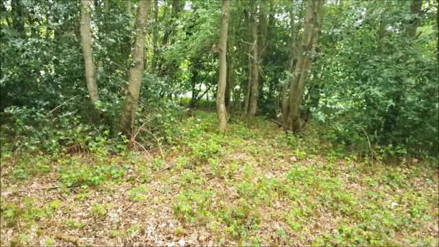 alphaninja7 risky blowjob bang