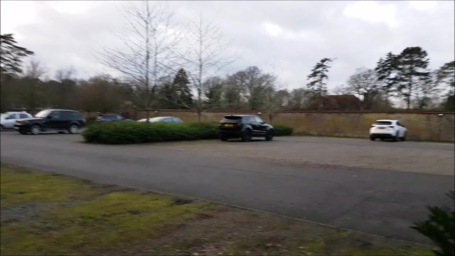 alphaninja7 public sex