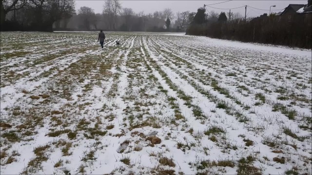 alphaninja7 outside porn