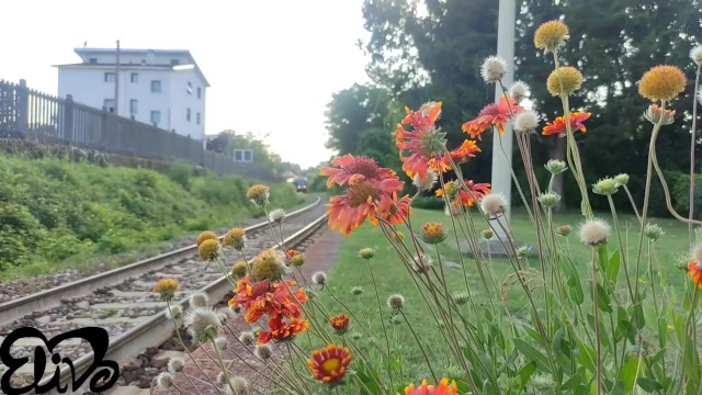 ElivaLove big natural tits action