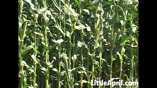 Petite Blonde and Little April solo video