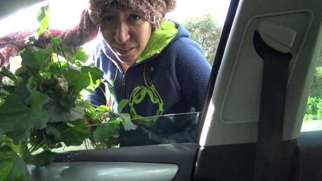 SouzanHalabi sikis scene