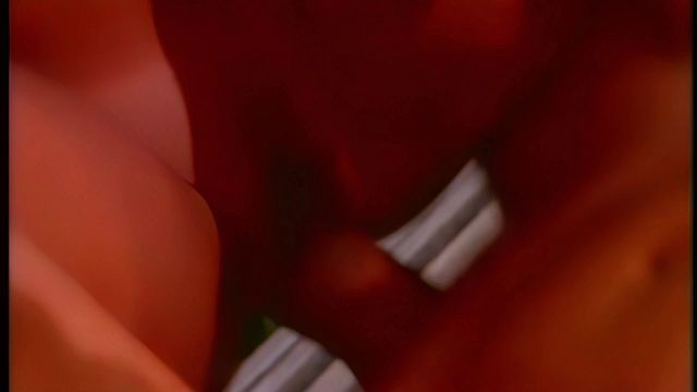 Ellen Padilha anal sex