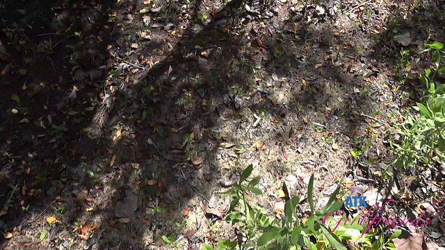 Riley Rose homemade smut