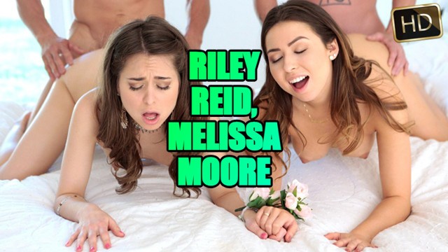 Tommy Gunn, Riley Reid, Melissa Moore and Rob Carpenter chicks smut
